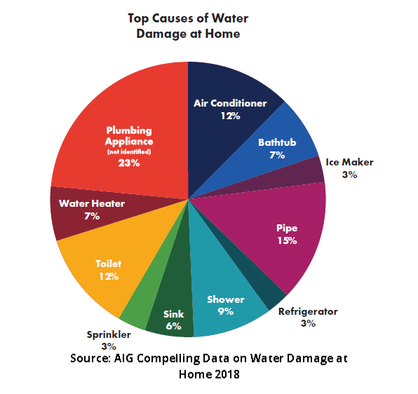 chart, pie chart